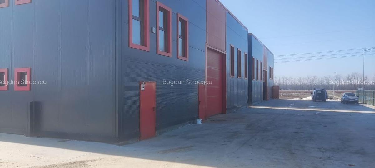 Hale noi PRET BOMBA ( 2 bucati ) 538 mp buc. Frumusani- Autostrada AO - 12