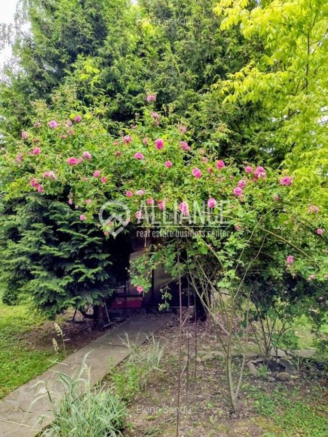 BREBU/PRAHOVA(cod04)-Casa P+1 zona mirifica - 23