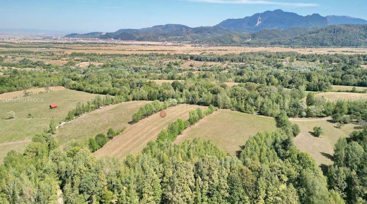 Teren intravilan, priveliste deosebita - 9