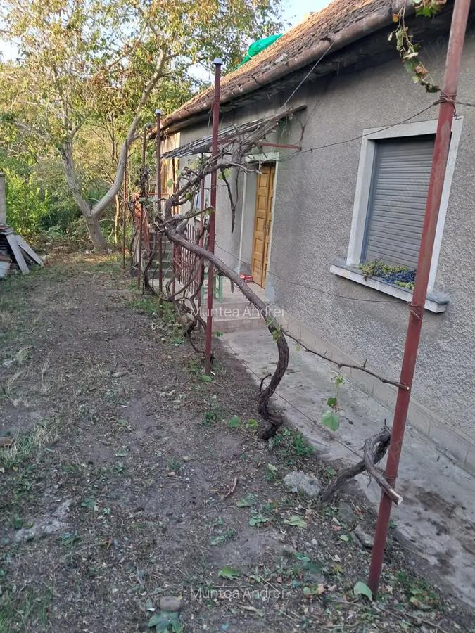 Casa cu teren 256mp Piatra Craiului zona Nymphaea - 2