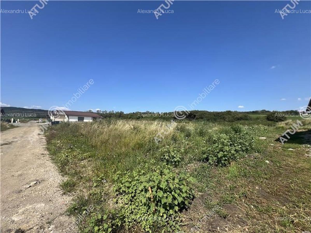 Teren de 646 mp si 15 metri deschidere zona Zorabia Sibiu - 2