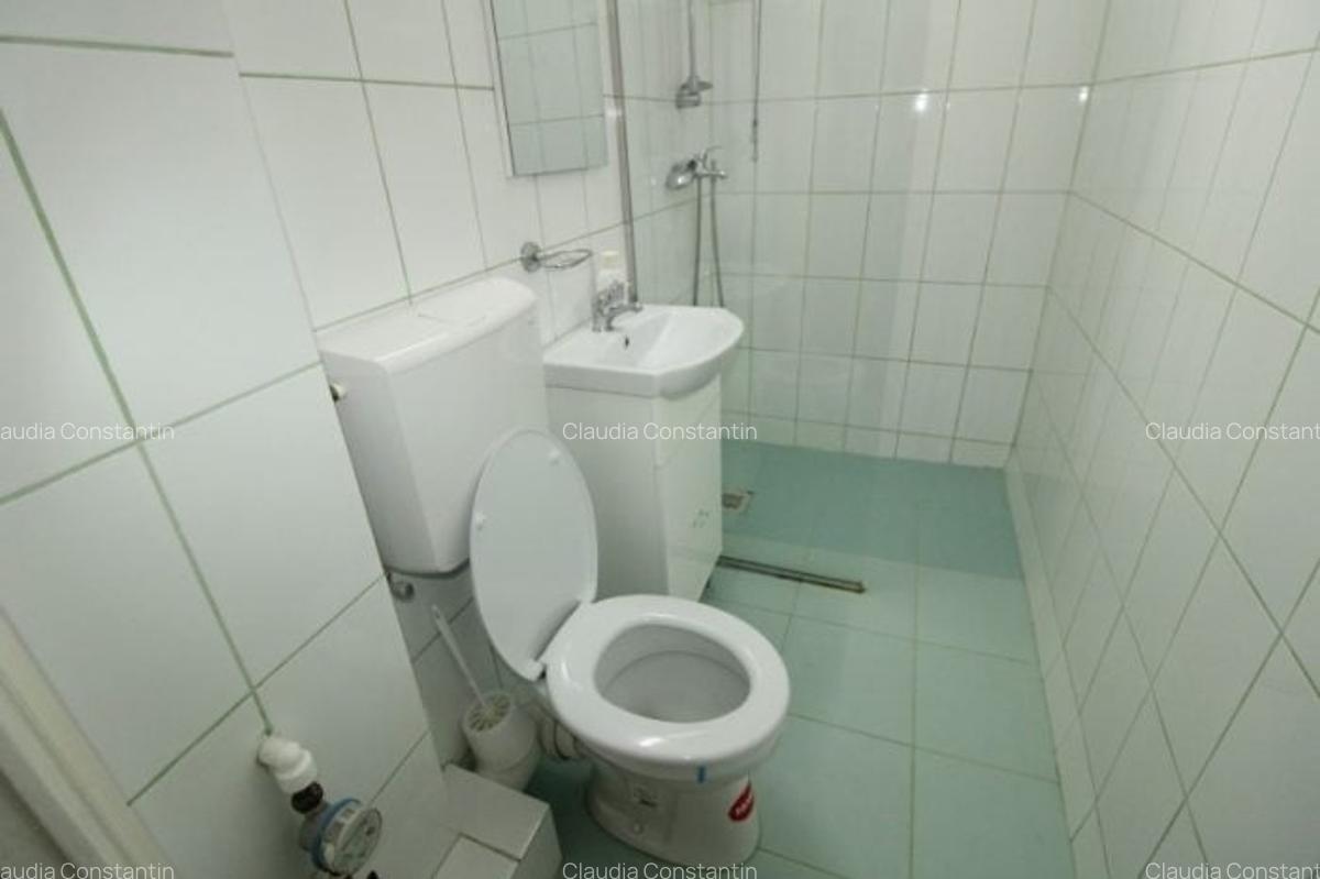Inchiriere apartament 2 camere, Cismigiu-Conservator - 10