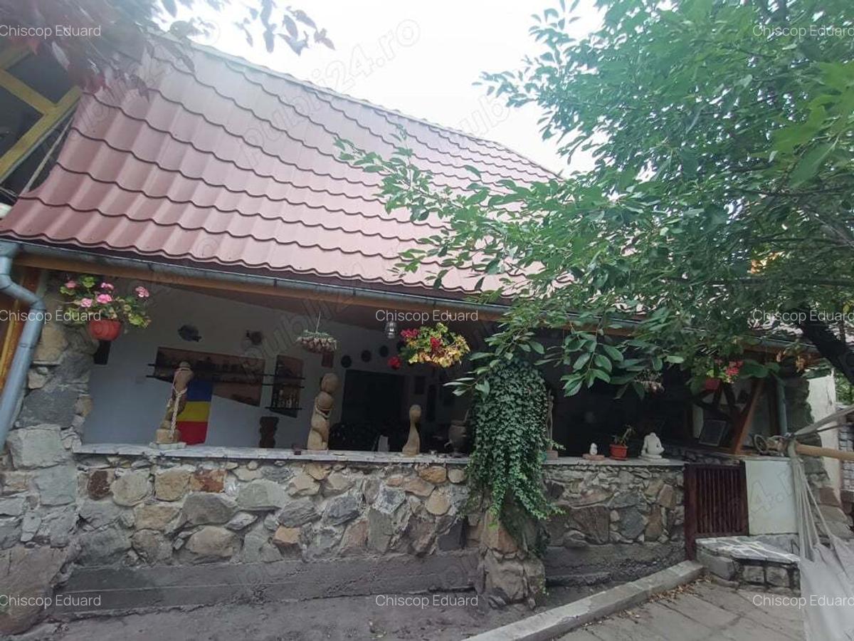 Vand proprietate - 9