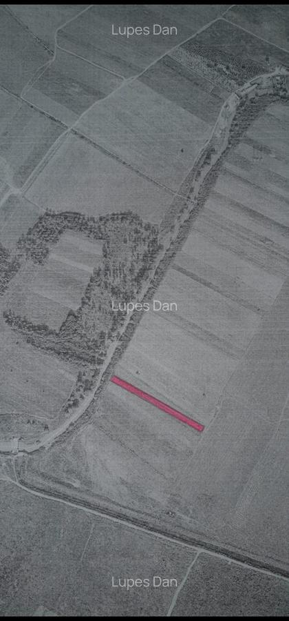 Teren agricol extravilan de 5000 mp, în Jilava - 2
