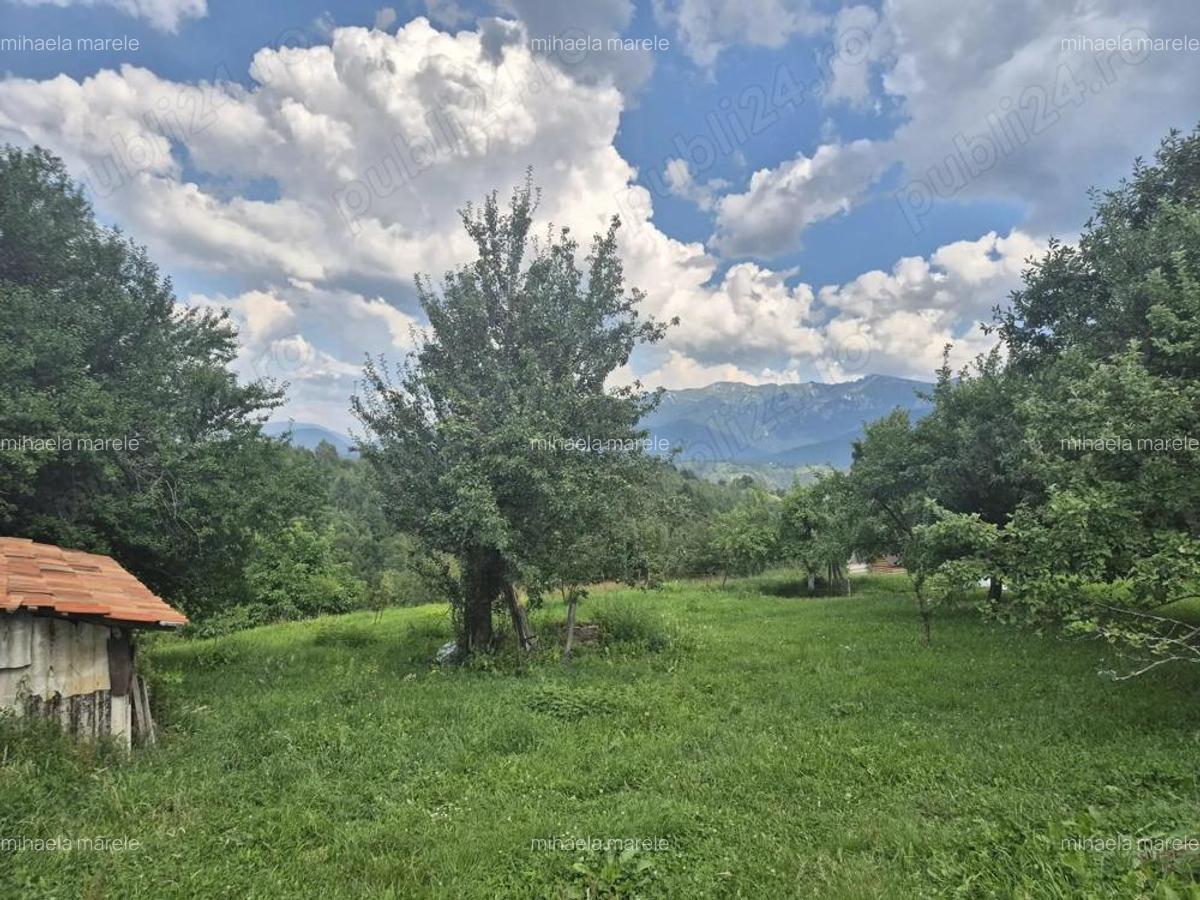 Intravilan Pestera, jud Brasov, comision 0% - 3
