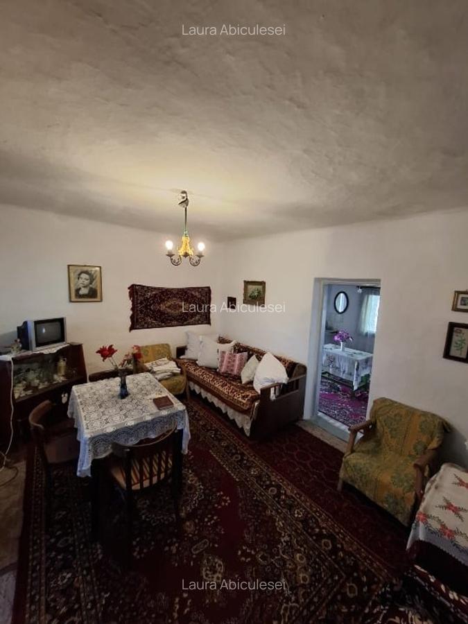 Casa 6 camere, Garaj , Teren 5000 MP - 12