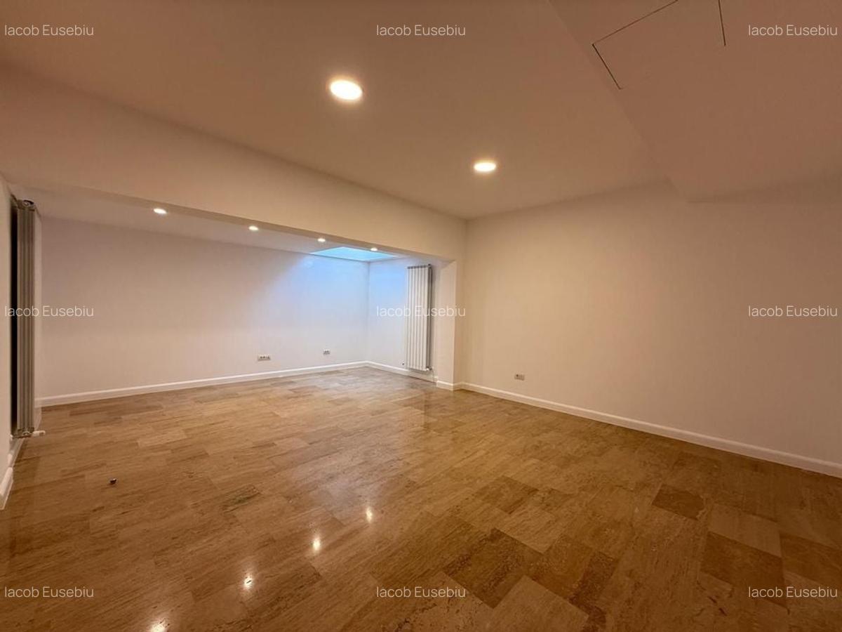 Spatiu comercial | 300MP | Dorobanti - 20