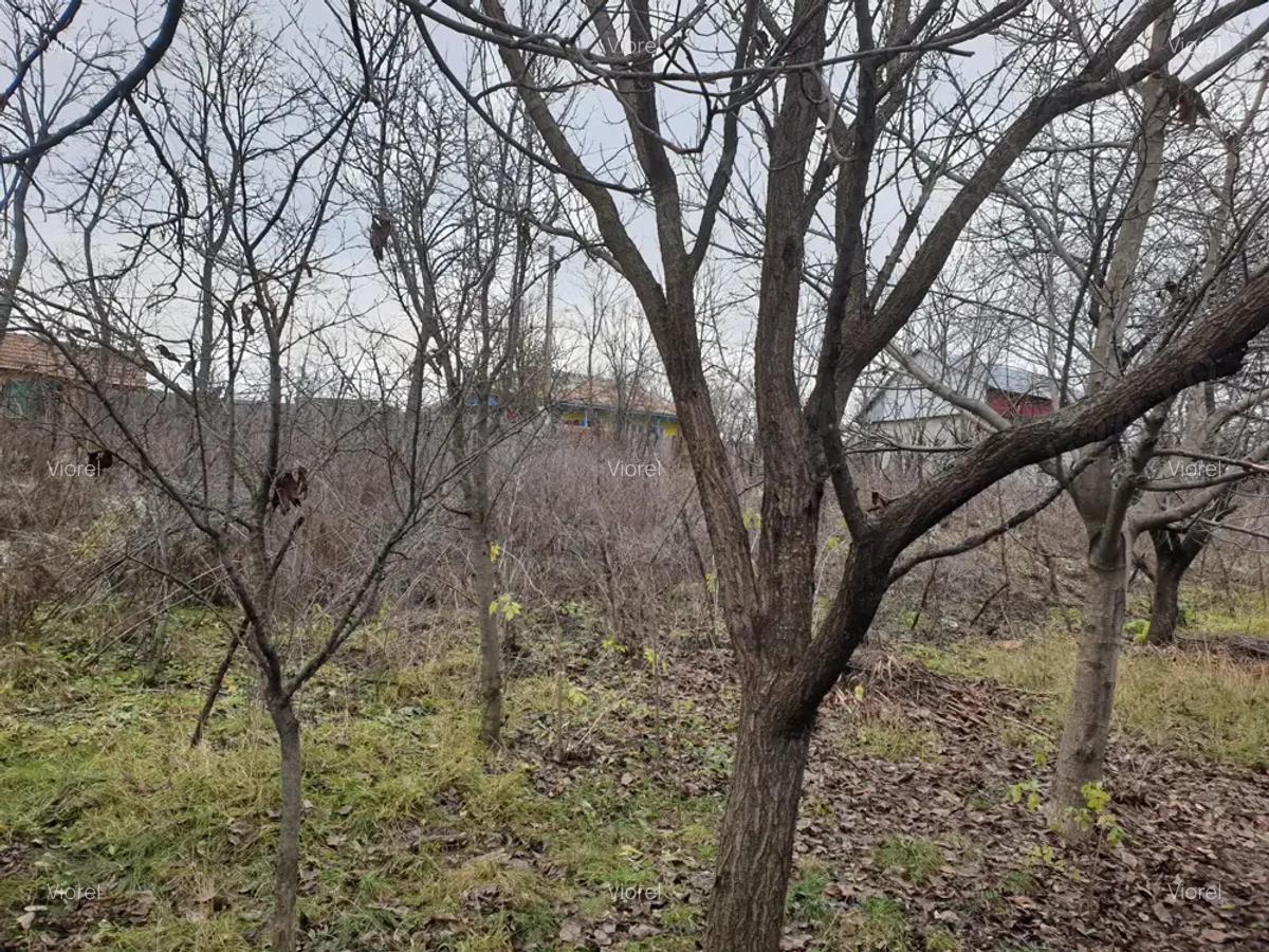 Casa batraneasca de vanzare - 3