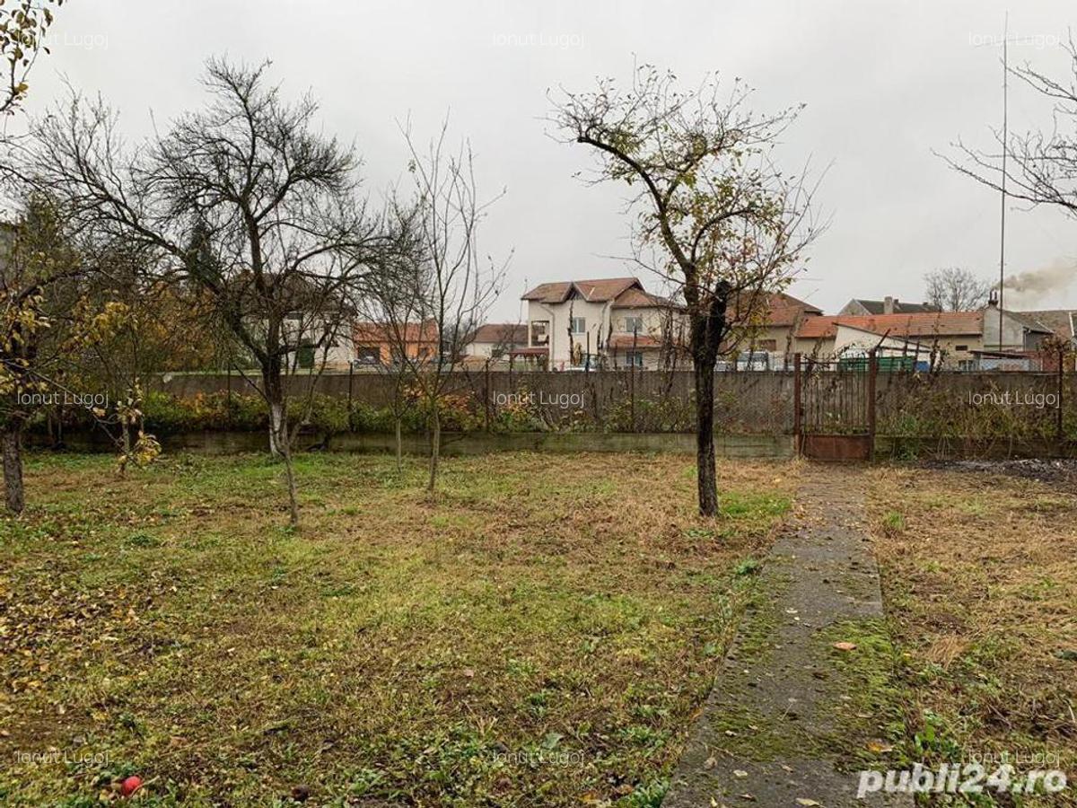 Vand casa Faget - 5 Vand casa Faget - 5