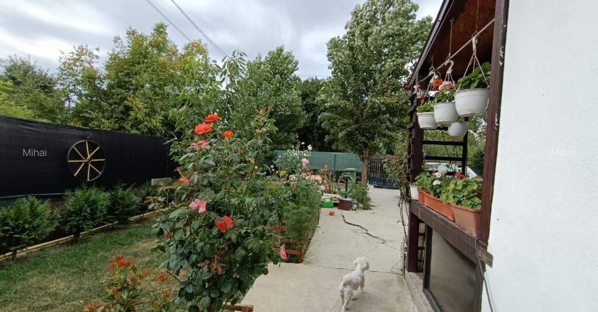 Casa cu teren aferent 1000 m2 - 14