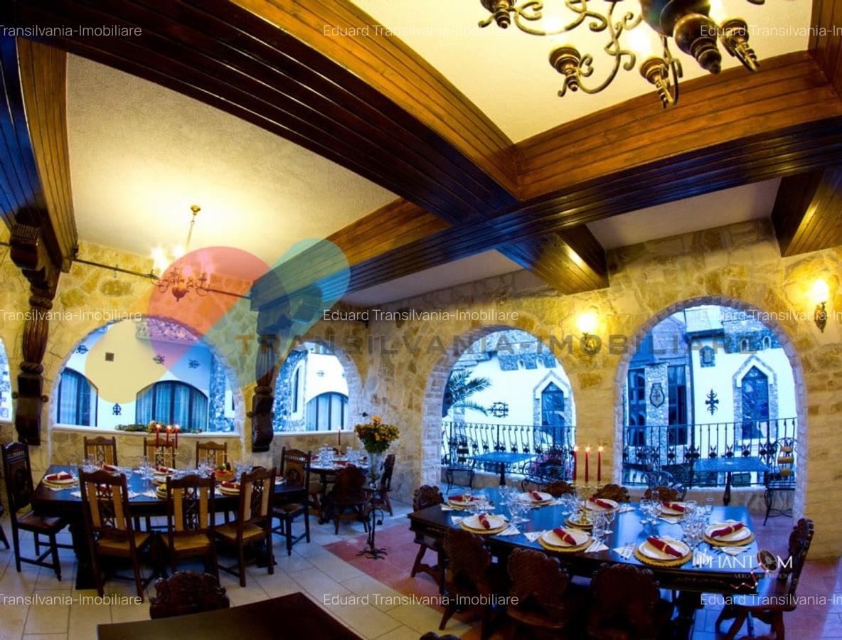 Exclusivitate si Istorie - Castelul Printul Vanator din Turda - 15