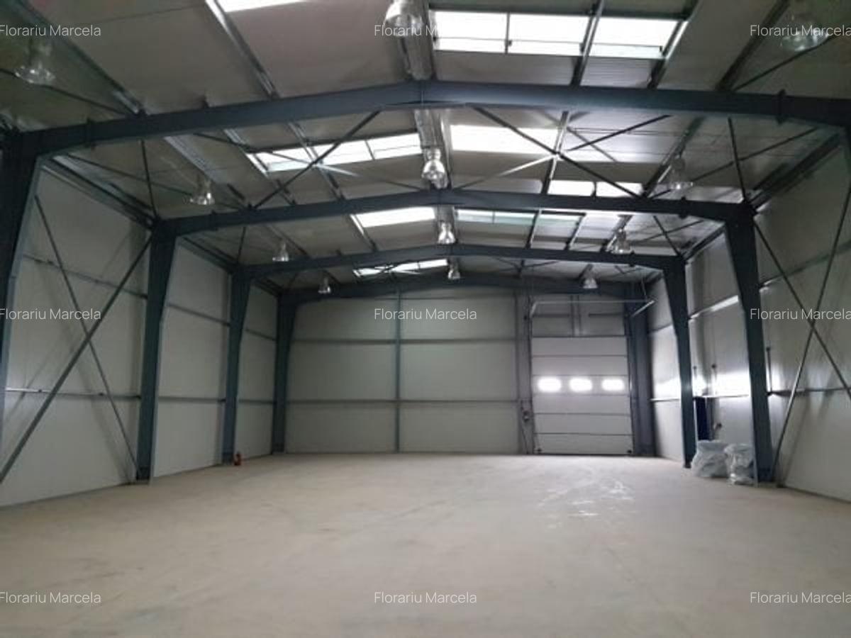 Service auto si birouri zona Pacea - 1