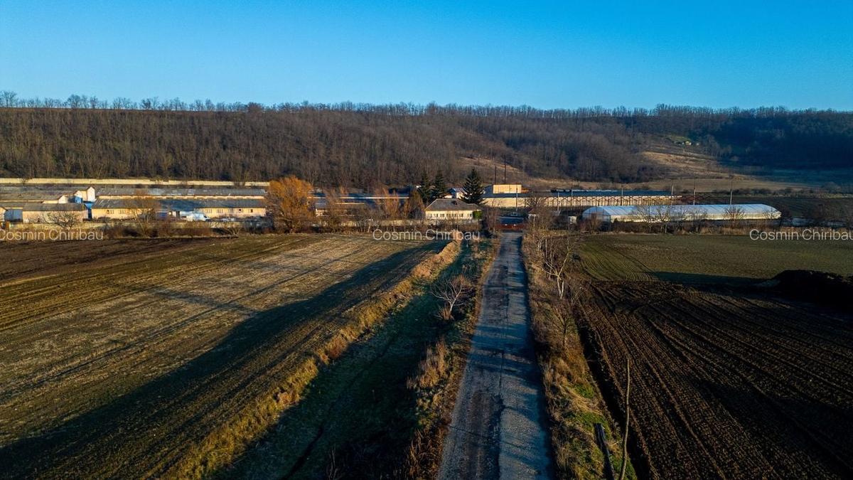 Fosta Ferma a Partidului de la Horgesti - de vanzare - 5