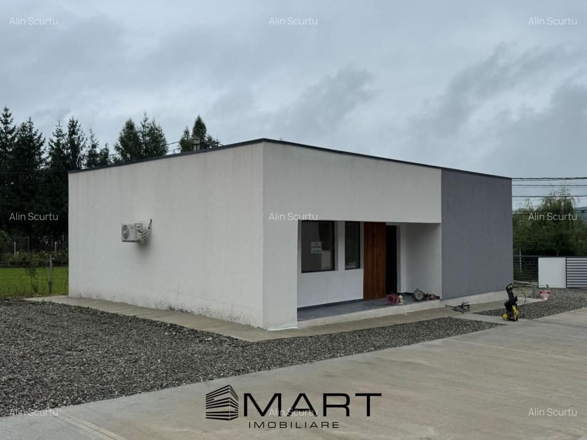 Casa Individuala cu 3 camere in Tocile - 2