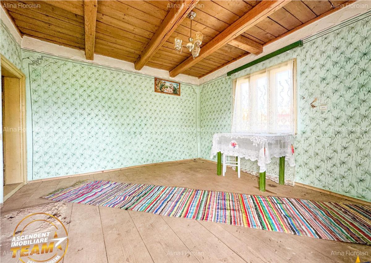 FILM!Casa personalizabila anexe domeniu de peste 3.600mp,in - 4