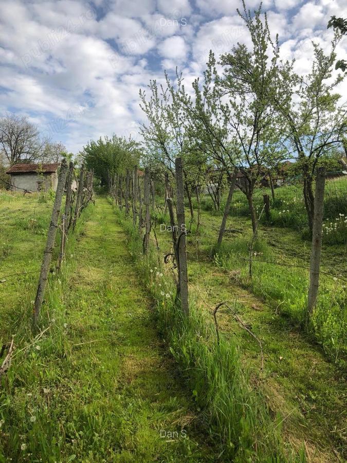 Casa de vanzare la 20km de Oradea - 7