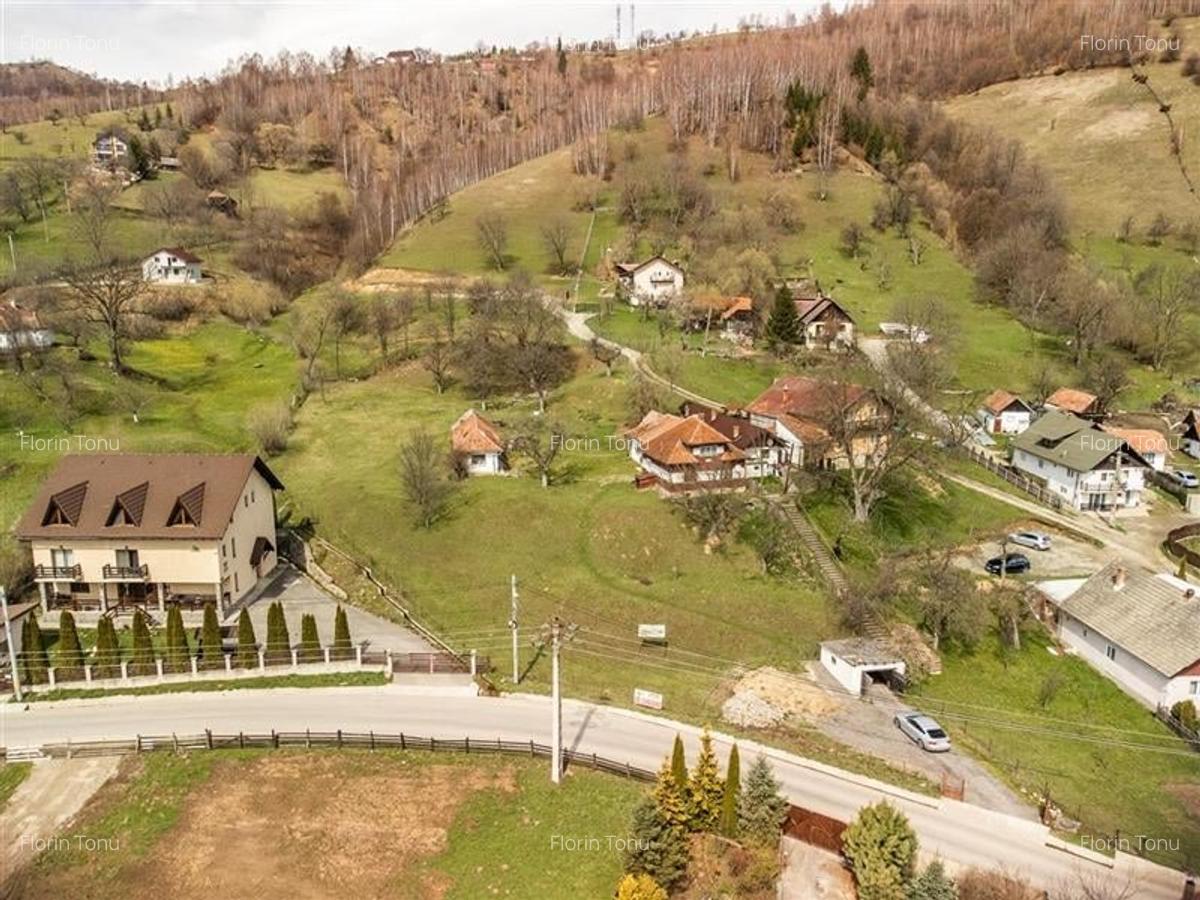 FILM! Rezidenta traditionala, peisagistica impresionata, domeniu de 6.500mp, Moi - 9 FILM! Rezidenta traditionala, peisagistica impresionata, domeniu de 6.500mp, Moi - 9