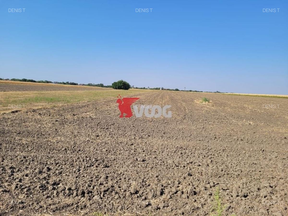 Teren parcelat cu PUZ aprobat 27.000mp - 1