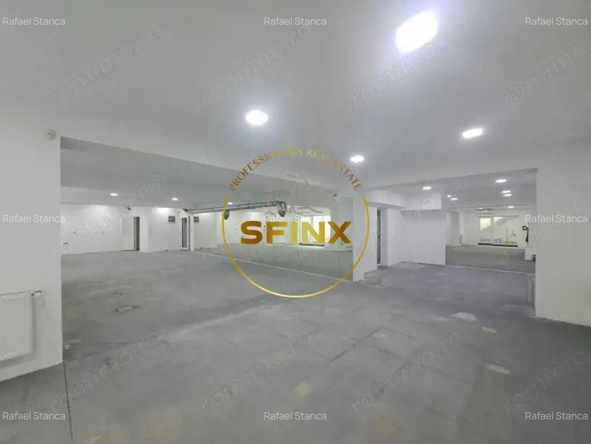 De inchiriat Spatiu Comercial Banu Manta - 7