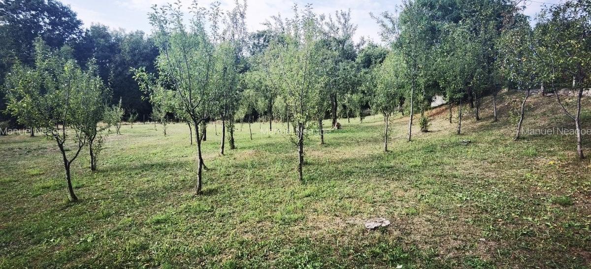 Teren Construcții intravilan de 1414 mp, în Breaza - 3
