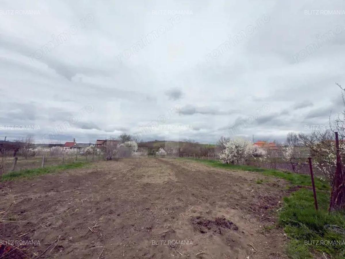 Casa de individuala, 4 camere, teren 1900mp - Zona Unirea - 6