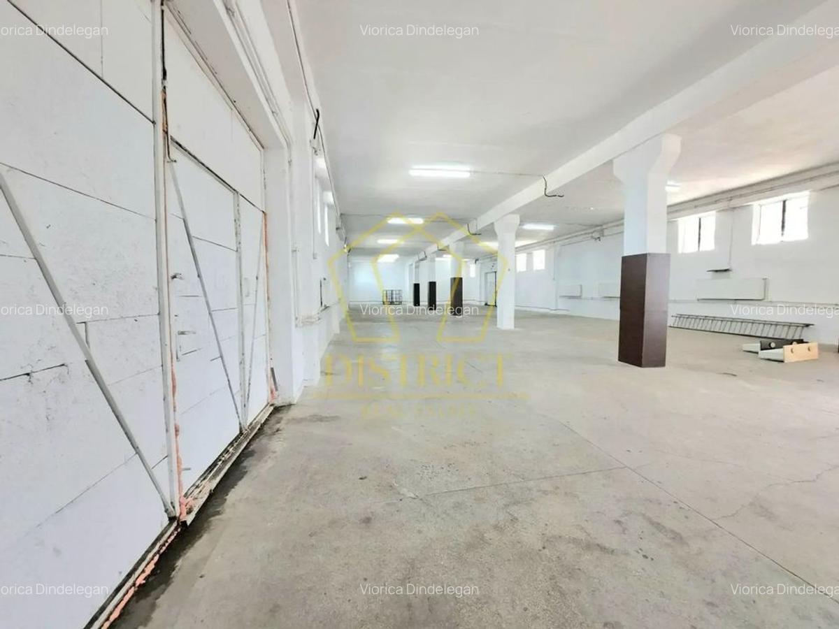 Spațiu industrial, 600 mp în Șagului - 10