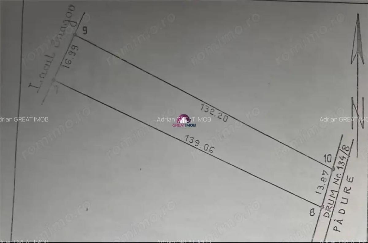 Teren 2000 MP Snagov Astoria - 3