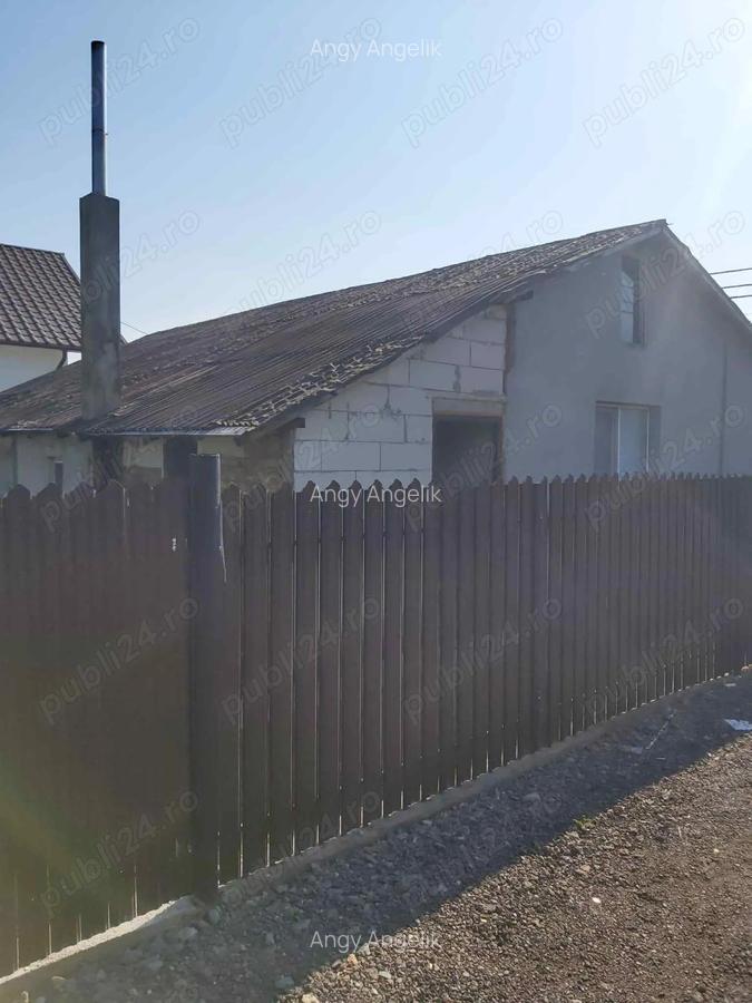 Casa pe pamant de vanzare Valu Traian - 3