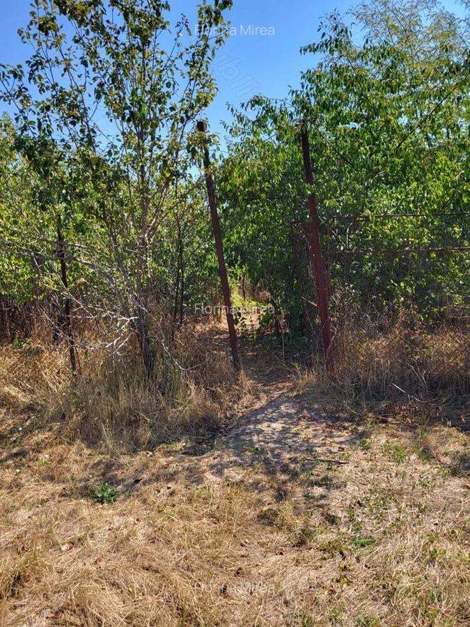 Casa si teren de vanzare in Peris Ilfov - 9