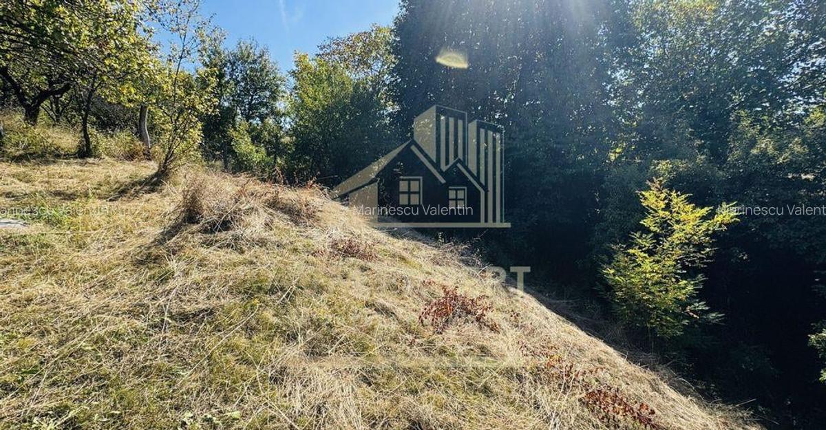 TEREN INTRAVILAN 3234 MP LERE?TI VOINE?TI ARGE? - 18