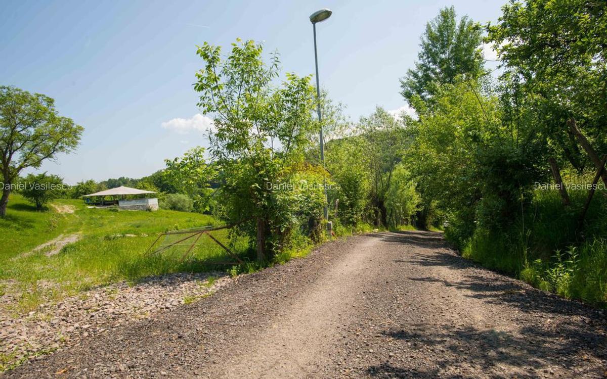 Teren cu utilitati, 5,495mp Bran - Strada Muchia hotarului - 13