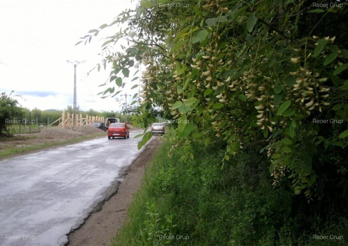 Intravilan 572 mp , loc de casa , zona padure Baicoi Prahova - 9