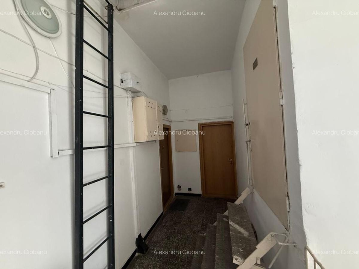 Apartament cu 2 camere, mobilat în Camil Ressu - 24