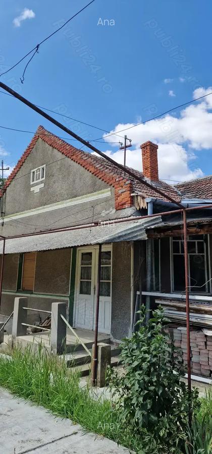 Casa si teren ideal pentru legumicultura - 1