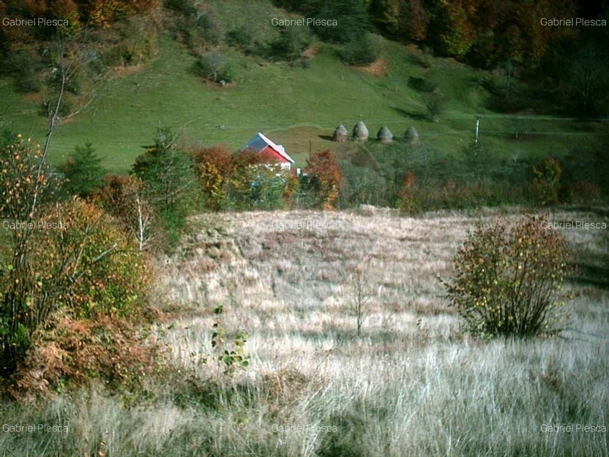 Teren 6700 mp, Apuseni, Pietroasa, Valea Aleului, Bihor, De Vanzare - 2