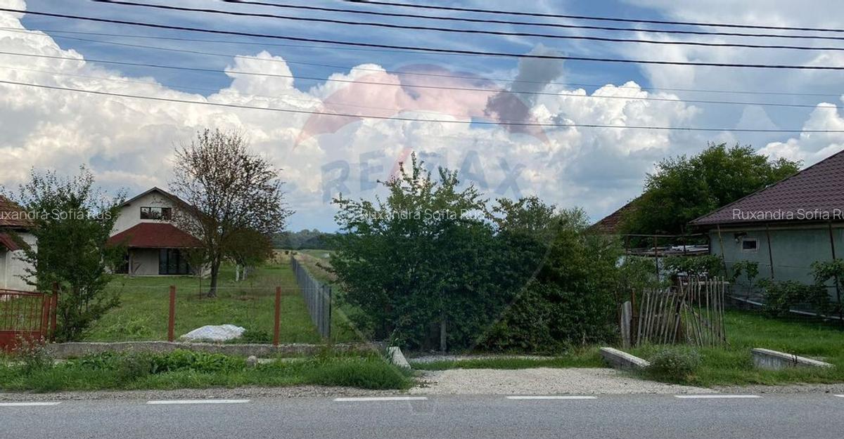 Teren 13,000mp Satulung / Soseaua Principala - 3