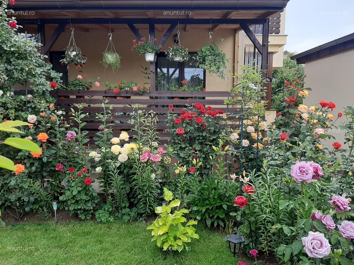 Chiajna, jud. Ilfov - 5