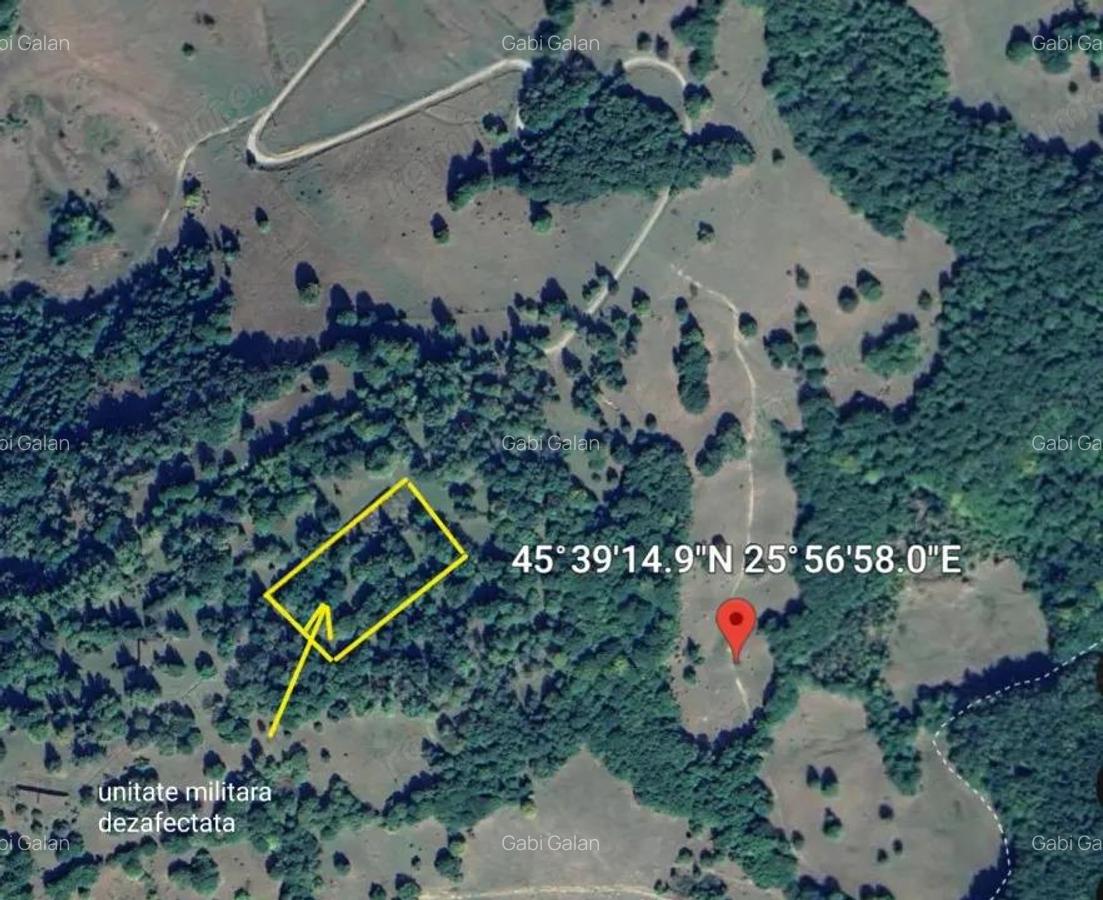 Teren - padure Teliu - Bradet - 2