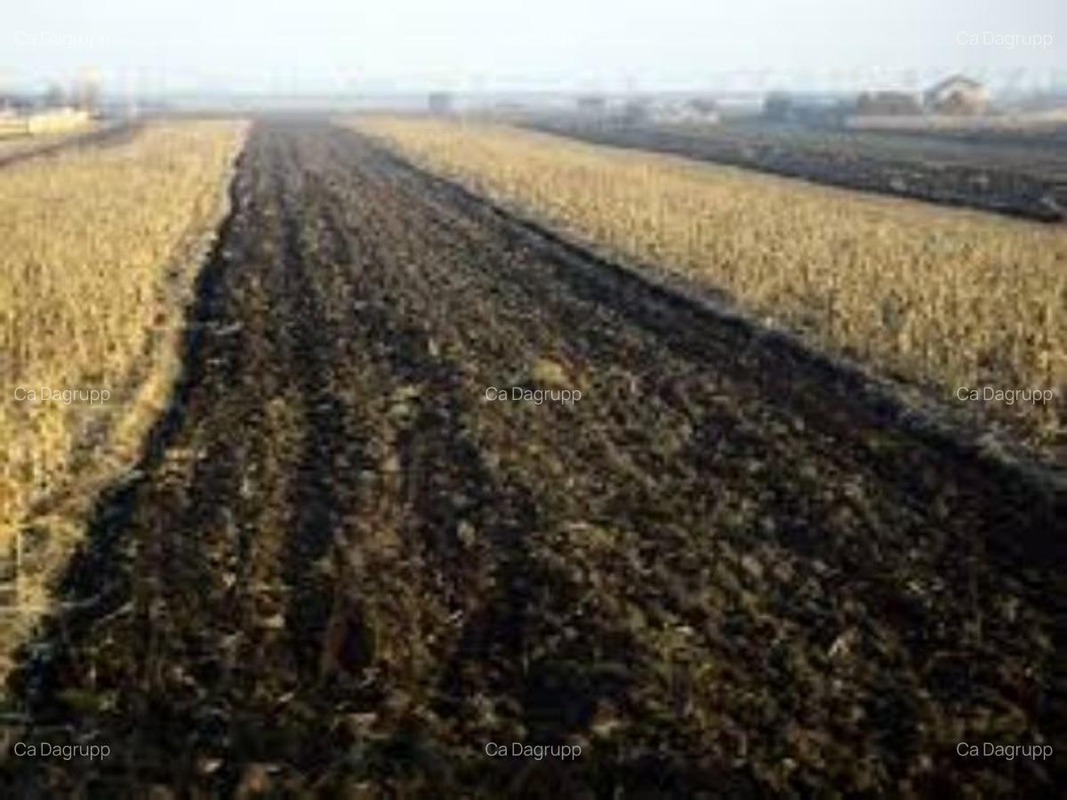 3,2 ha teren agricol la Oboga judetul Olt - 1
