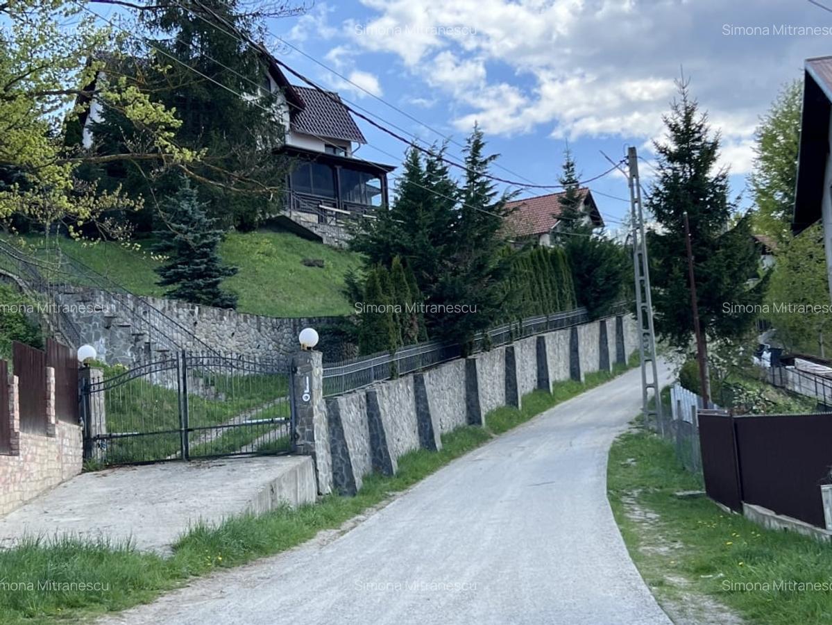 Teren intravilan Poiana Tapului. Tripla deschidere. Vedere libera superba. - 8