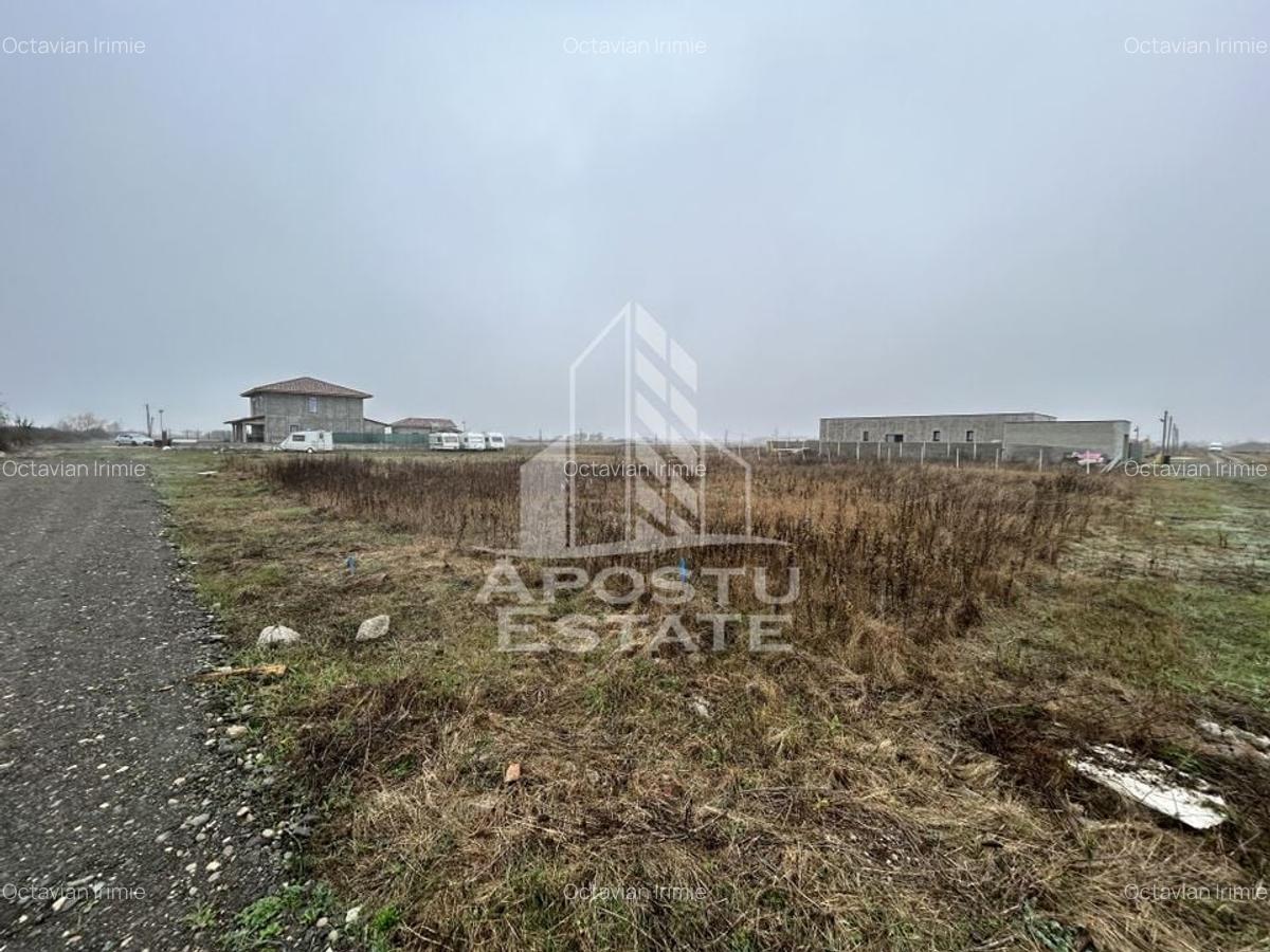 Teren 530  mp, Sacalaz, zona de case noi, zona PUZ Cosma. - 1