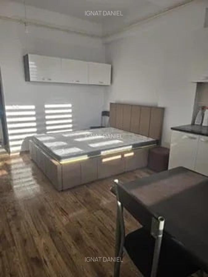 Apartament 1 camera, etaj 2/4, zona Tatarasi - 3