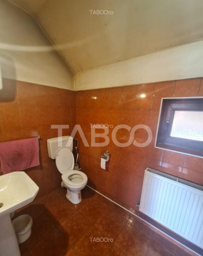 Spatiu comercial de vanzare pe drumul Petrestiului - 6