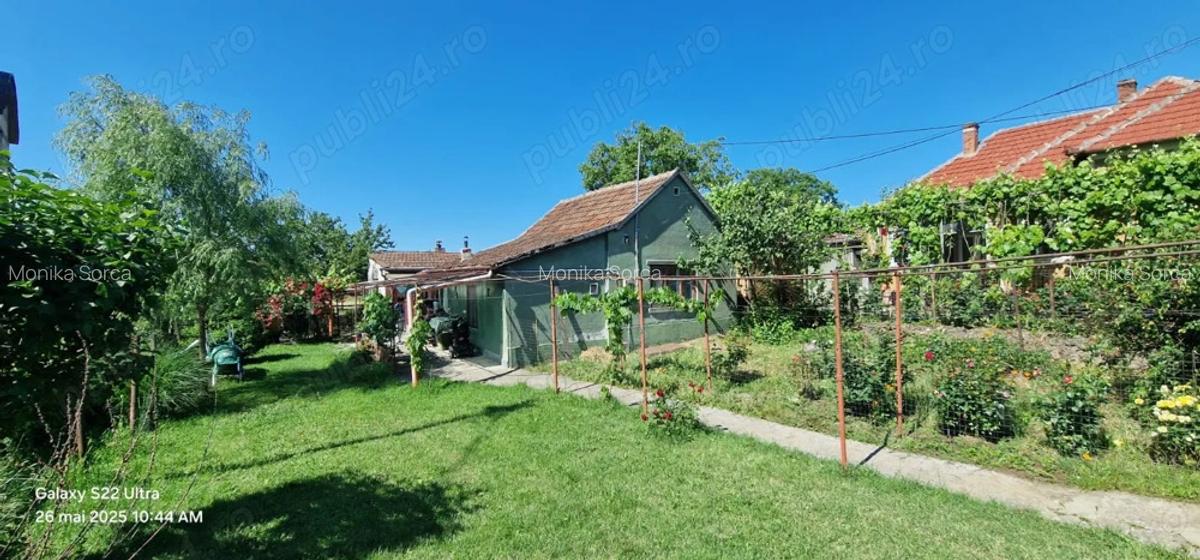 Casa confec?ii silvas - 1