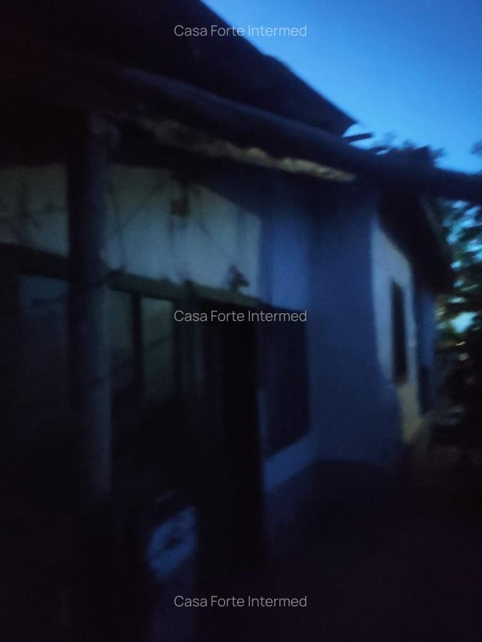 Casă cu 4 camere, 1817 mp teren, doar 19.000 Euro – Zăvoaia, Brăila - 10