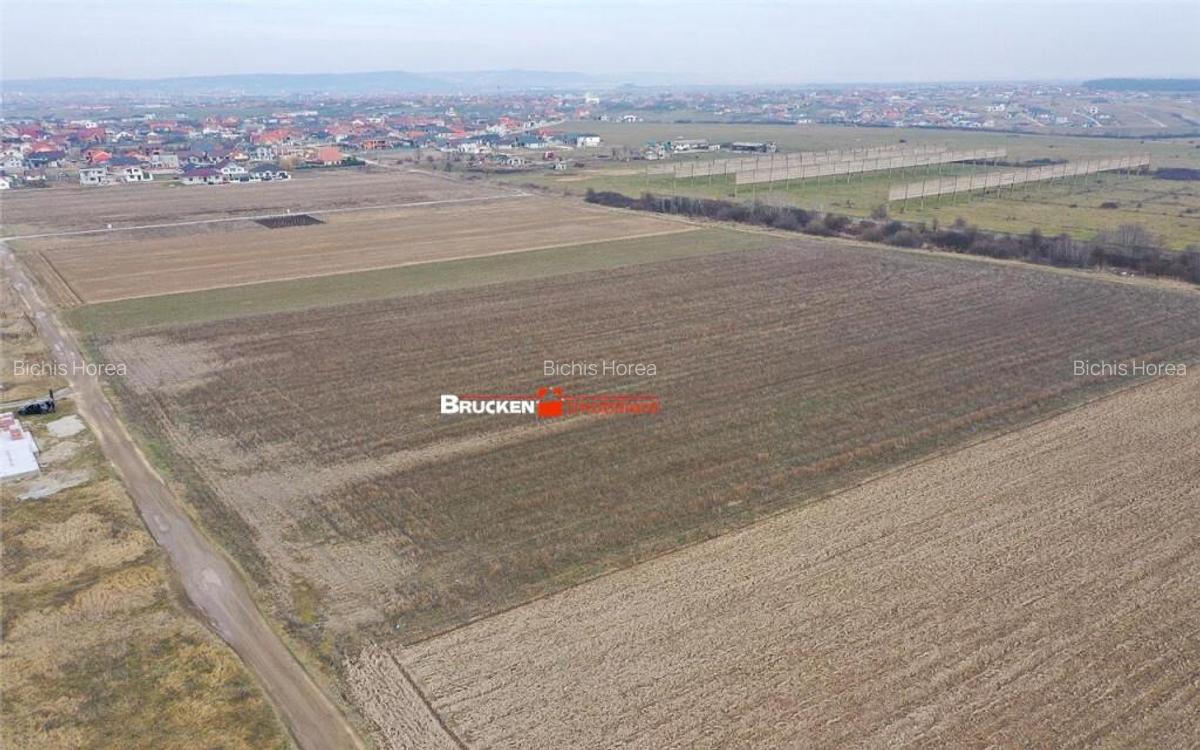 5 PARCELE PENTRU CASA | ZONA REZIDENTIALA I DEZVOLTARE | CIH - 3
