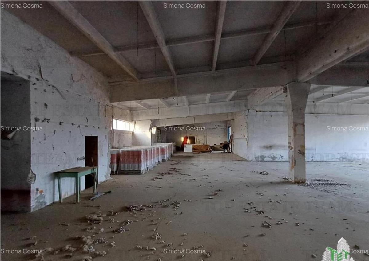 De inchiriat spatiu industrial pentru depozitare, Budesti, j - 8