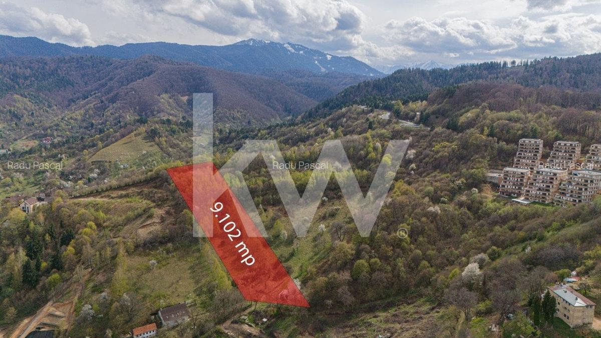 Teren Construcții intravilan de 9102 mp, în Drumul Poienii - 5