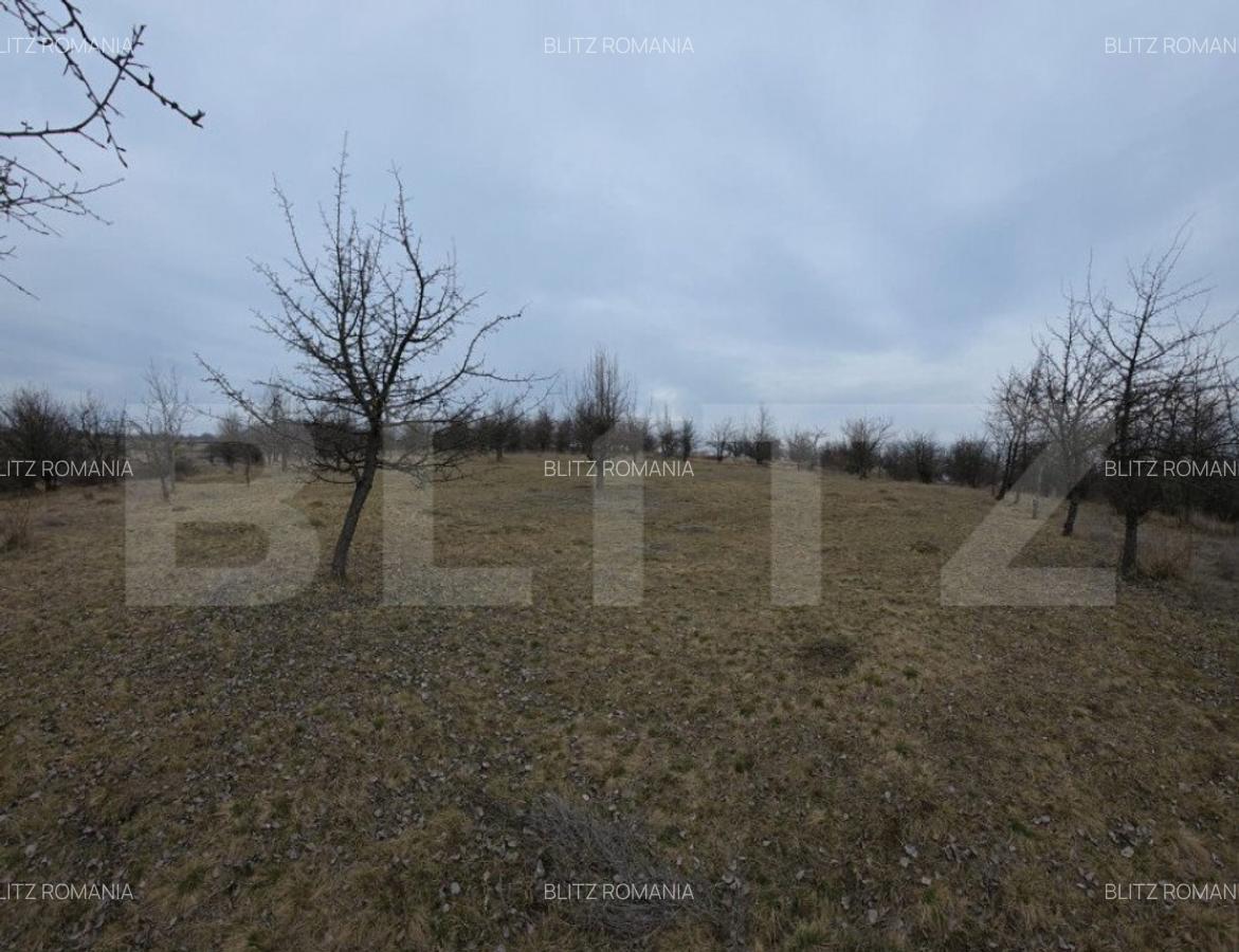 Teren extravilan de vanzare, 900 mp, Bistrita - 1