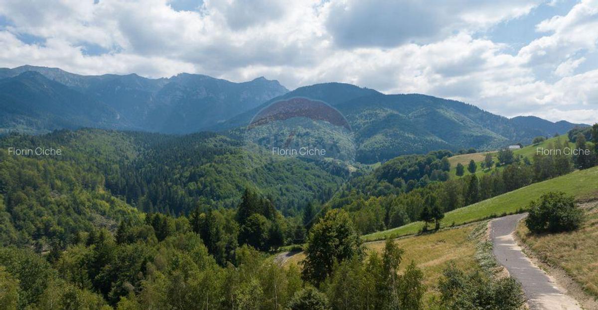 Teren Panoramic in Bran Vedere spre Bucegi & Piatra C... - 14